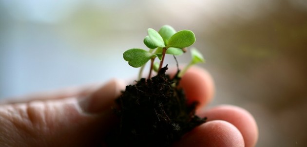 You DO make an impact: celebrate and learn at Earth Week events