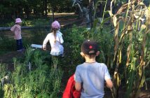 Tawingo outdoor kindergarten