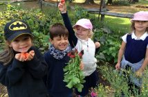 Tawingo outdoor kindergarten
