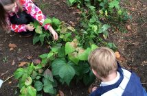 Tawingo outdoor kindergarten