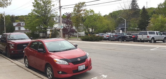 What you need to know about bylaws this spring
