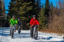 Winter fatbiking in Algonquin Provincial Park