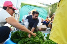 Chris Nobel of Birchill Farms helps Maureen Collins pick the perfect greens.