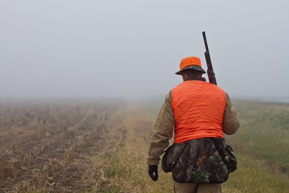 Hunter_Flickr_KevinChang