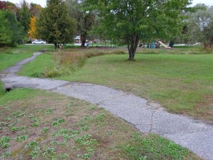 Pathway through Meadow Park