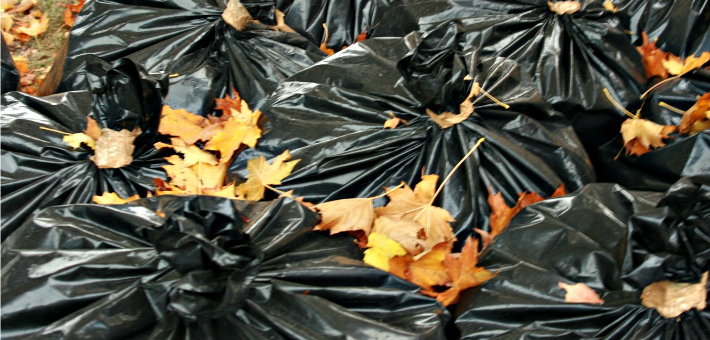Garbage with leaves