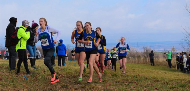 Hoyas XC to send 25 runners to provincial championships