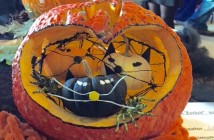 Miniature pumpkins, wait, no, those are cats, nesting in a Jack-o-Lantern