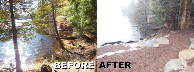 Clear cutting has landed this property owner in a lot of trouble