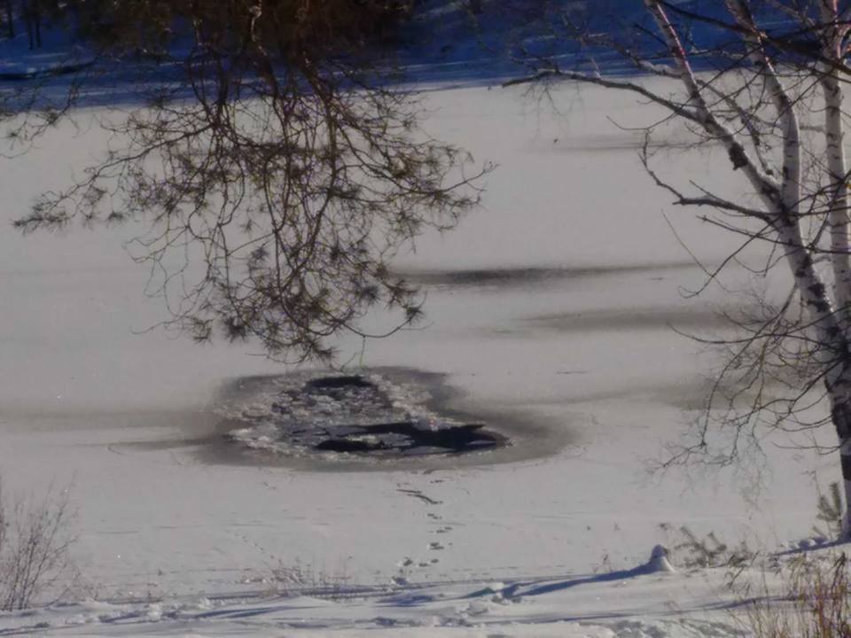 A moose fell through the ice in Vernon Narrows and couldn’t be rescued (Photo: Kim Gordon)