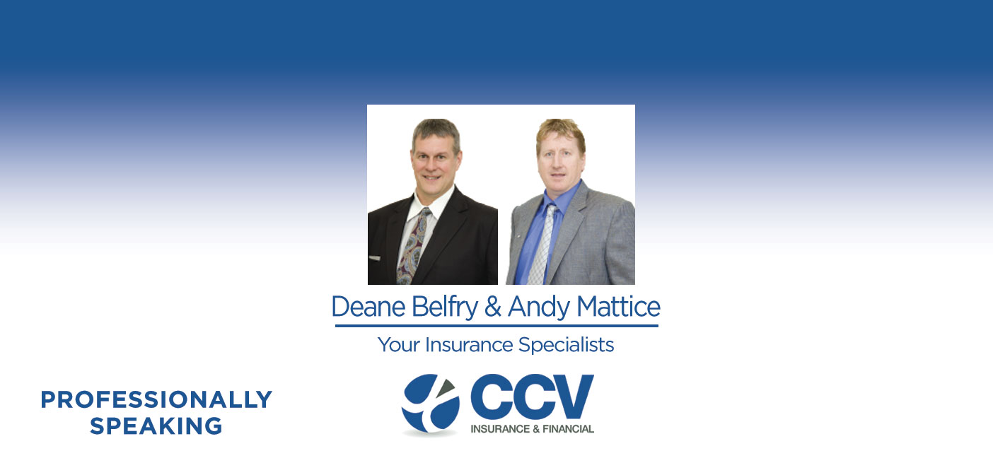 ProfessionalCCV