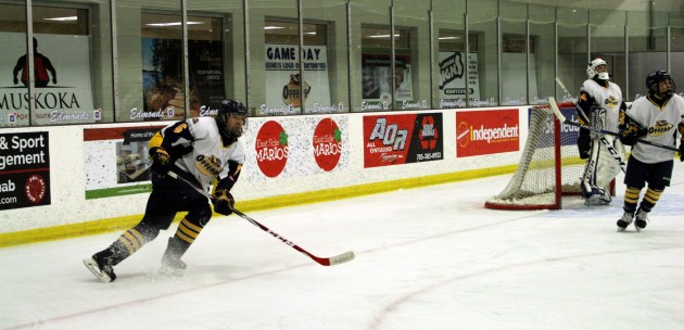 Otters look to take control of playoff series vs. Erin Shamrocks this weekend