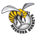 Huntsville Hornets' logo