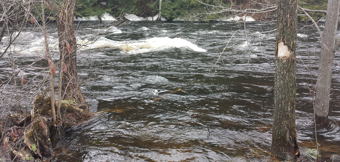 The Muskoka River below the Brunel Locks is running swift and high