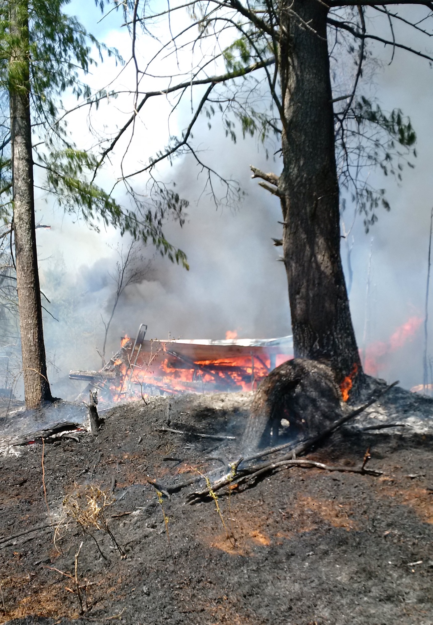 Brush fire full