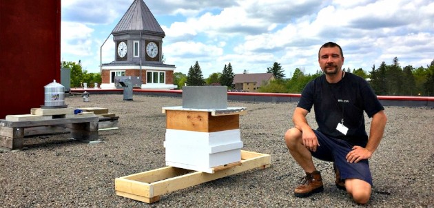 Town bees relocated, too much hassle: beekeeper