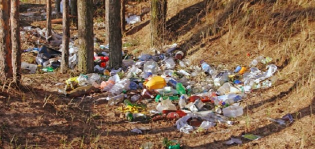 Is it time to get tougher on those who litter?