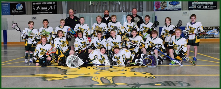 Novice rep 2016
