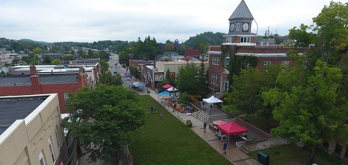 Main Street in Huntsville became a temporary park for the annual Sidewalk Sale. The sod was sold in support of Habitat for Humanity.