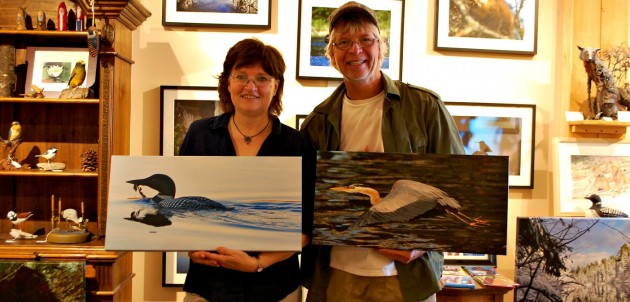 Two Horse Gallery lends support for Algonquin Wildlife Research Station