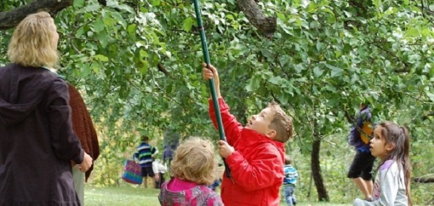 The 3rd annual Huntsville Apple Picking Festival is coming soon!