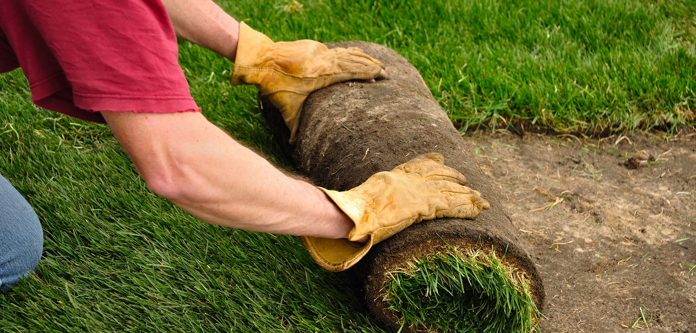 Volunteers will be laying sod on Main Street for the Green Street Challenge on August 20