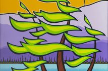 Windy Pines