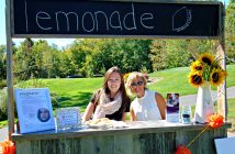 Christine's Place lemonade stand