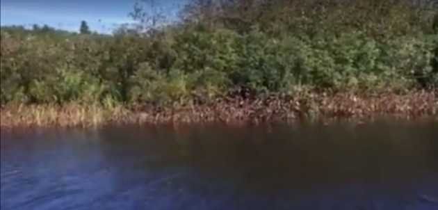 Our Town with Grant Nickalls: Enjoying fall in Muskoka