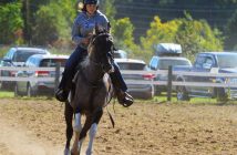Huntsville Fall Fair western horse show