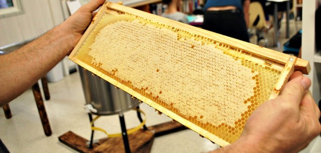 Sweet harvest for local students