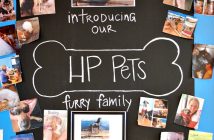 HP Pets