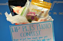 HP Pets contest