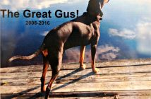 The Great Gus