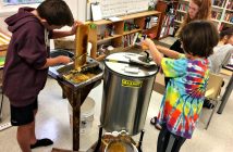 Montessori honey harvest