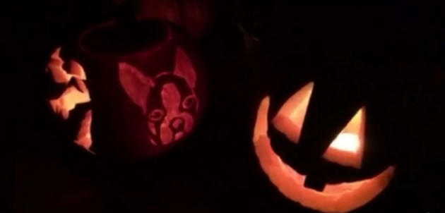 Our Town with Grant Nickalls: Halloween hijinx