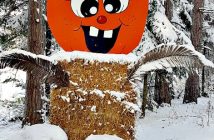 Sandhill Nursery decorations