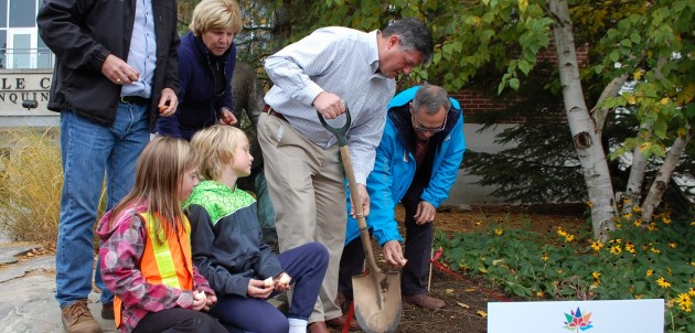 There will be tulips, tulips, everywhere next spring