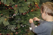 tree trimming