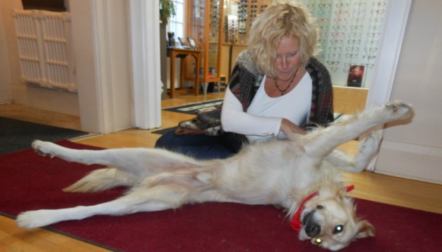 Kathy Sheridan and Marc White have rescued many dogs but Farley is different