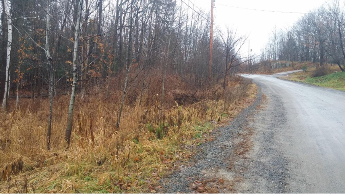 The property proposed for development has about 150 metres of frontage on Kitchen Road South.