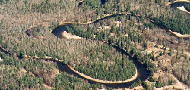 It’s World Wetlands Day: Muskoka Watershed Council on the importance of wetlands for disaster risk reduction