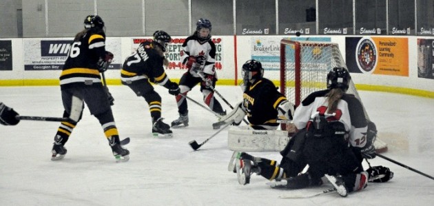 Huntsville Girls Hockey Association 40th Annual Hockey Tournament