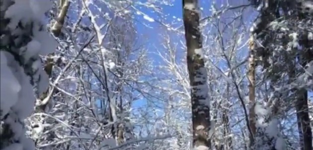 Our Town with Grant Nickalls: Feel that winter sun (and dream a little, too)