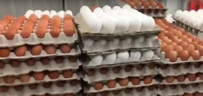 Our Town – eggs