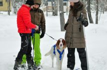 Lowell Greib explains skijoring