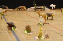 3D archery targets