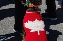 Bama gets in the spirit with a maple leaf sweater