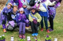 Hike for Hospice participants decked out in purple (Photo: Jenny Kirkpatrick Photography)