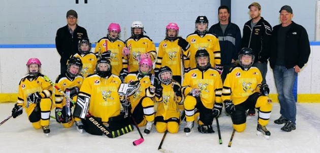 Huntsville Atom Gold Sting take silver at recent tournament